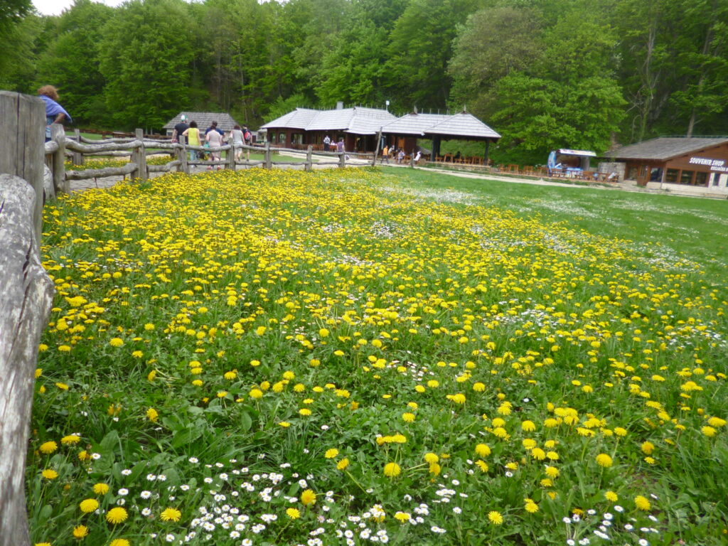 プリトヴィッツェ国立公園船着き場