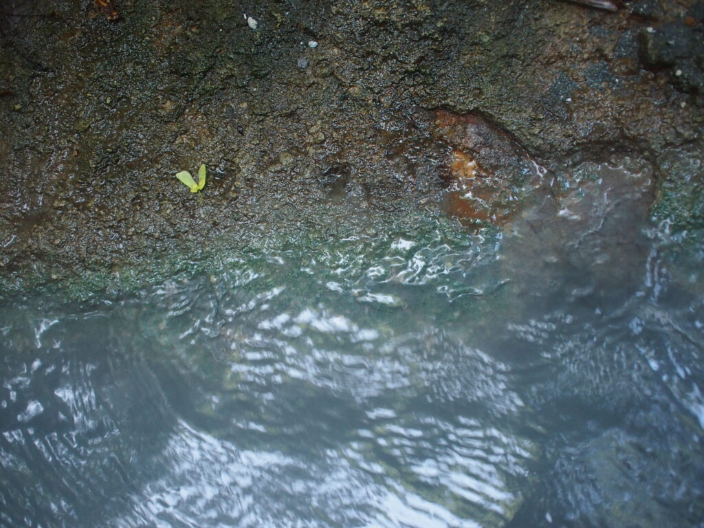 登別大湯沼天然足湯