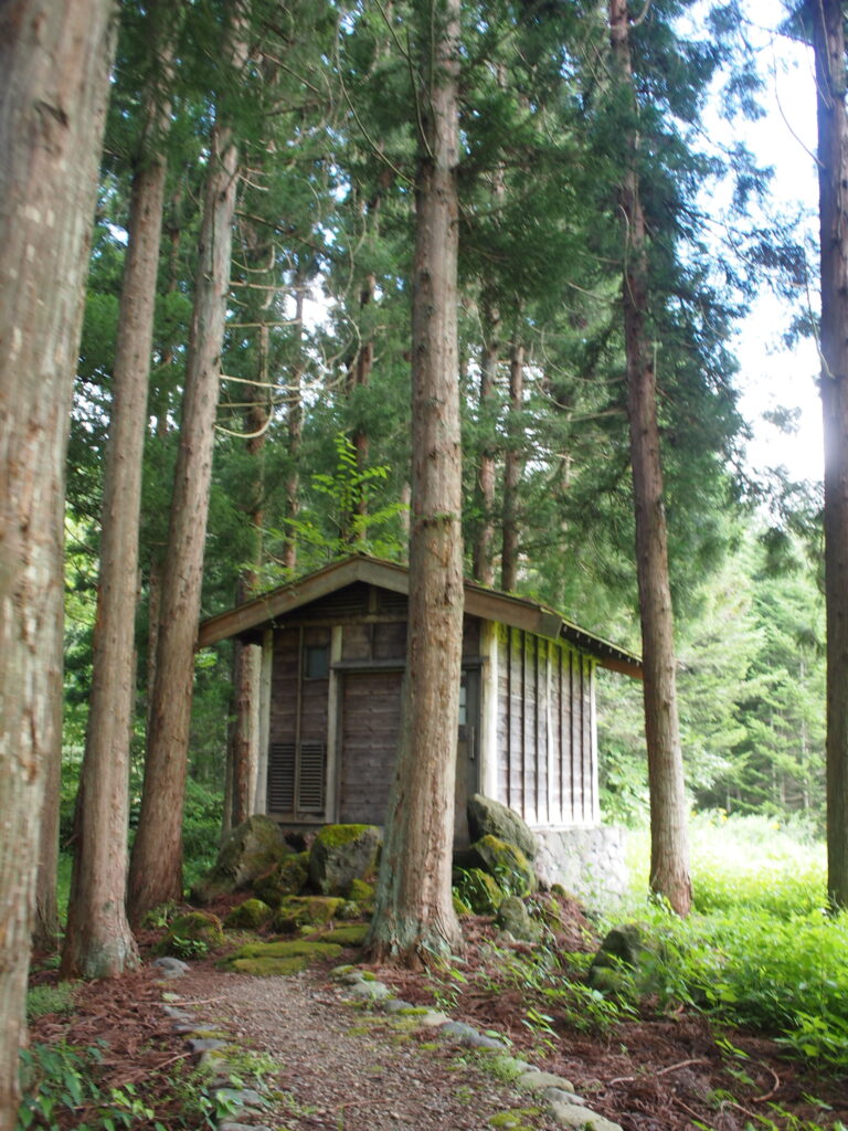 銀婚湯　杉の湯